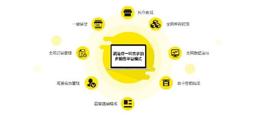 保亭青島鼠標網站公司 專業網站建設與小程序搭建，助力上海企業數字化轉型